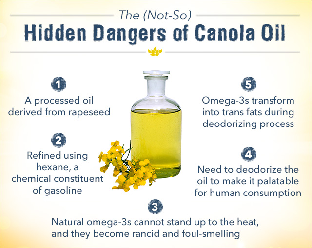 What Is Canola Oil